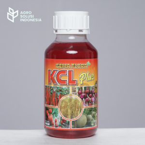 KCL PLUS Gema Flora